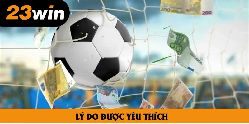 Lý do được yêu thích đông đảo trên thị trường hiện nay